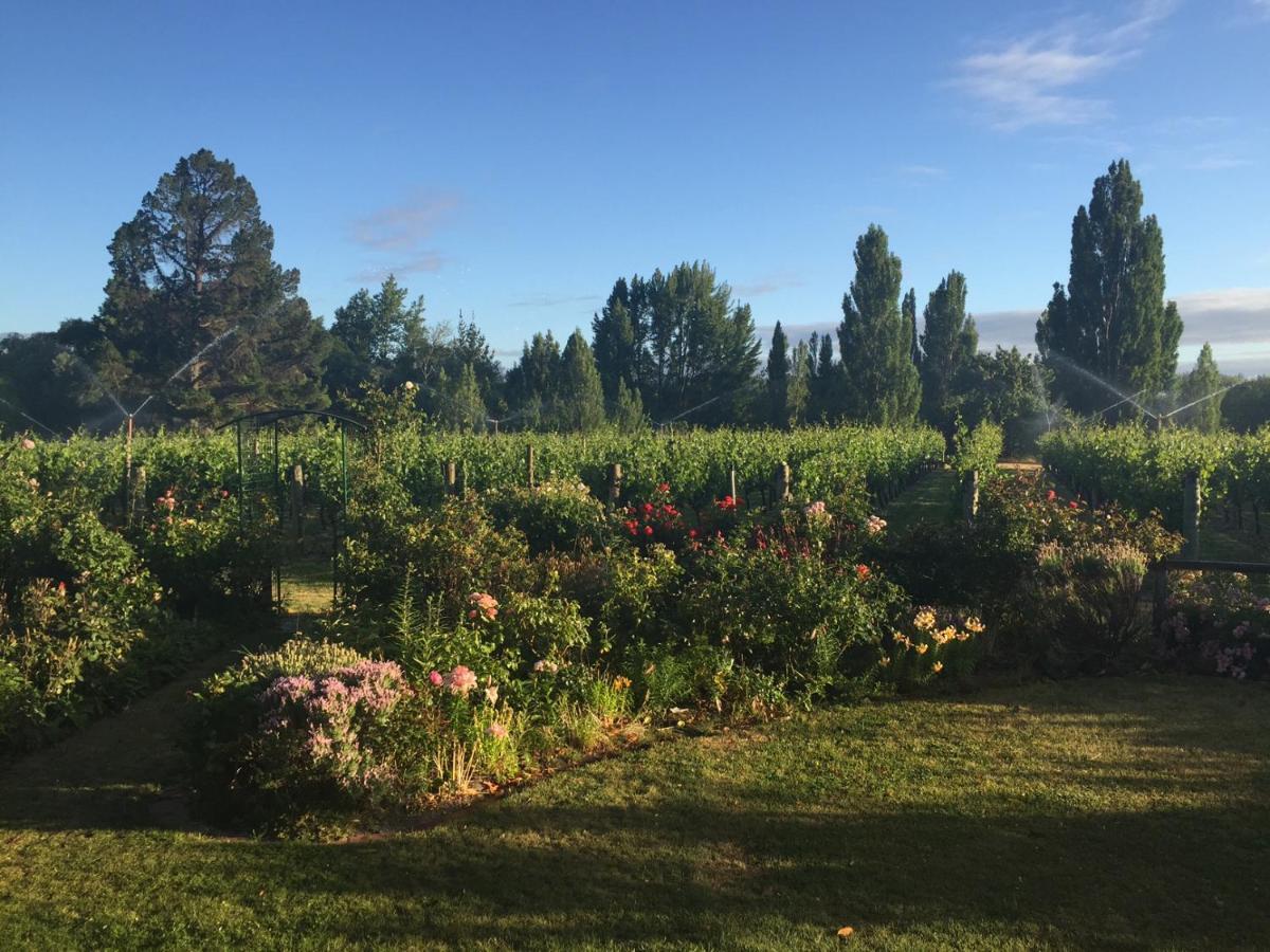 'The Crib' On Legacy Vineyard Alexandra Quarto foto